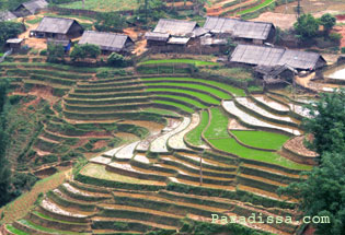 Y Ling Ho Village of the Black Hmong in Sapa
