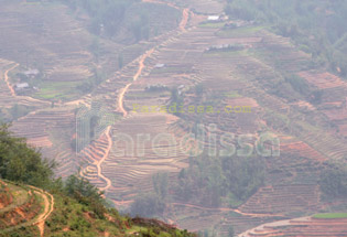 Muong Hoa Valley Sapa