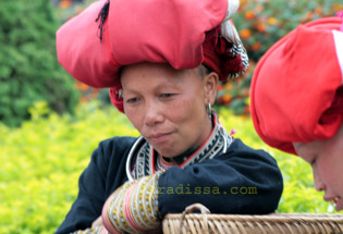 une dame Dzao rouge à Sapa