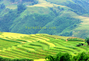 Sapa Vietnam