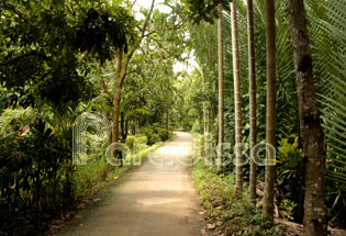 An Thanh Nhat Soc Trang Vietnam An Thanh Nhat Soc Trang Vietnam
