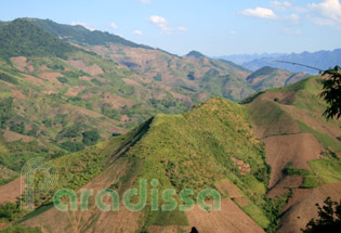 A breathtaking view of Moc Chau Plateau