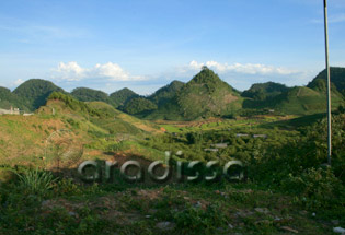 Moc Chau Plateau Son La Vietnam