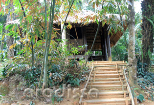 Ho Chi Minh's house on Tin Keo