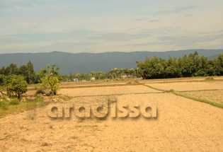 Thanh Hoa Vietnam Thanh Hoa Vietnam