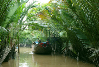 Boat traveling through water coconut forest at My Tho Tien Giang