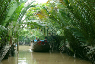 Forêt noix de coco à My Tho et Ben Tre