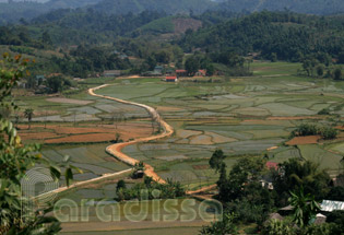 Rice fields at Chiem Hoa