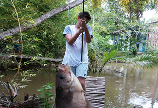 Fishing on the Mekong River