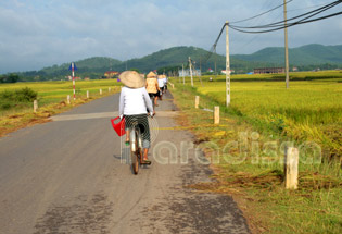 Cycling amid rice fields of Vinh Phuc