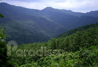 The mountains and forests of Tam Dao National Park 