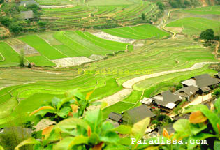 Tu Le Valley from Khau Pha Pass