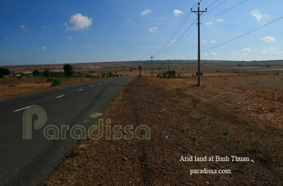 The most beautiful desert road in Vietnam at Bac Binh, Binh Thuan Province