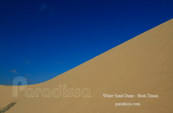 The White Sand Dune in Binh Thuan Vietnam