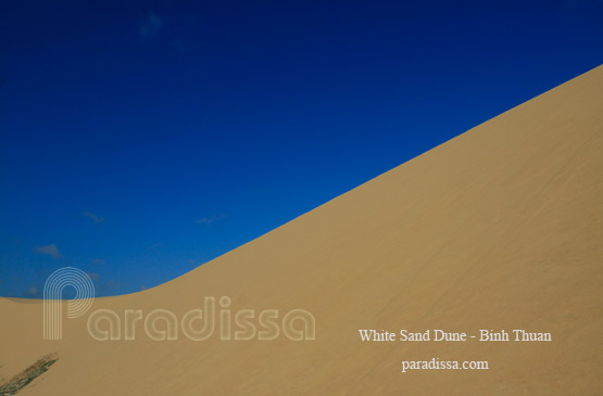 White Sand Dune