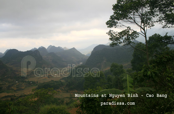Nguyen Binh Cao Bang Nguyen Binh Cao Bang