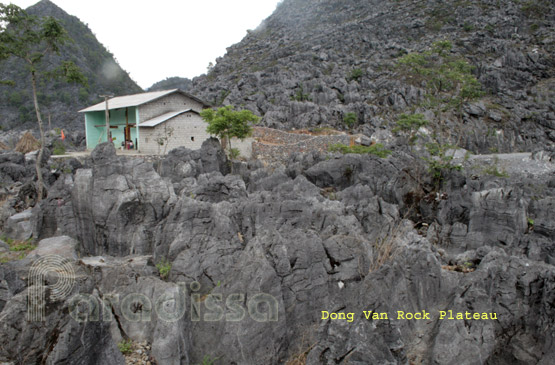 A house amid an ethereal rocky wold of Dong Van Plateau