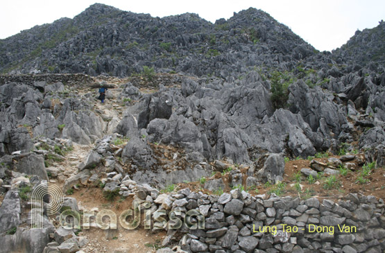 Rocky landscape at Lung Tao in the Dong Van Plateau