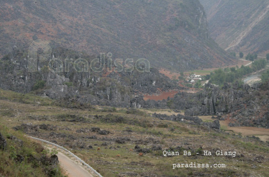 Les montagnes rocheuses à Quan Ba près du district de Yen Minh