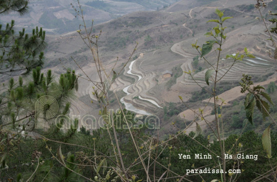 Les terrasses sèches à Yen Minh, Ha Giang