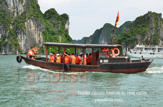 Tender carries tourists for visiting different sites on Halong Bay
