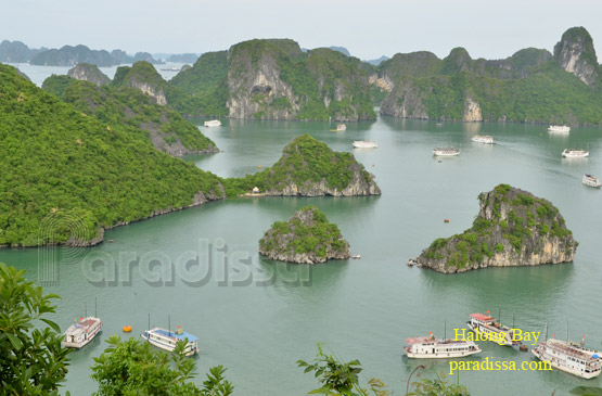 View of Halong Bay from top of Ti Tov Mountain