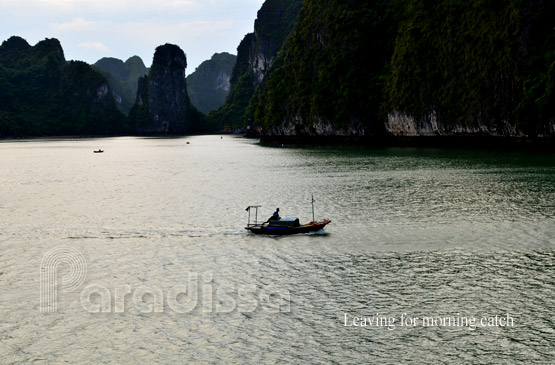 Halong Vietnam