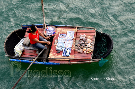 Halong Vietnam