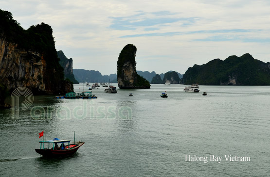 Halong Vietnam