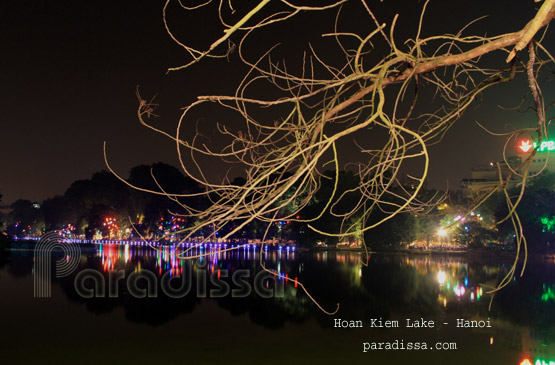 Des arbres sans feuilles au bord du lac de Hoan Kiem