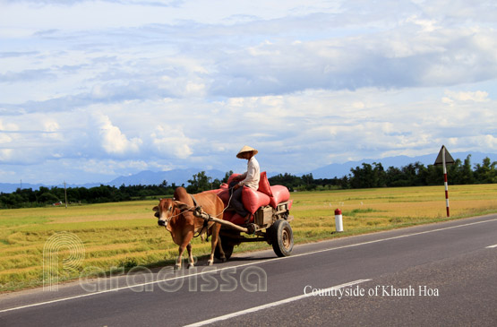 Countryside of Khanh Hoa Province