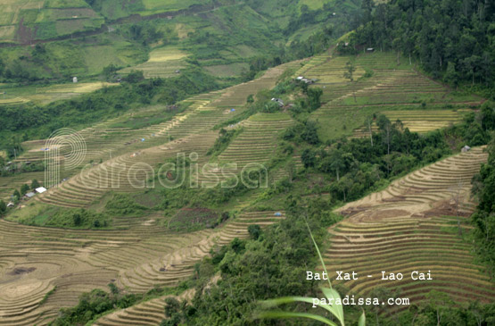 Bat Xat Lao Cai Bat Xat Lao Cai
