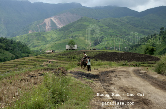 Kids at Muong Hum, Bat Xat