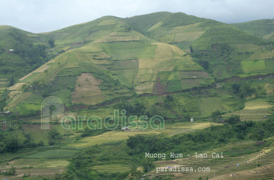 Green mountains at Muong Hum