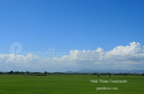 Ninh Thuan countryside