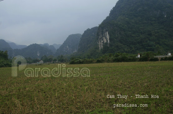 Cam Thuy Thanh Hoa