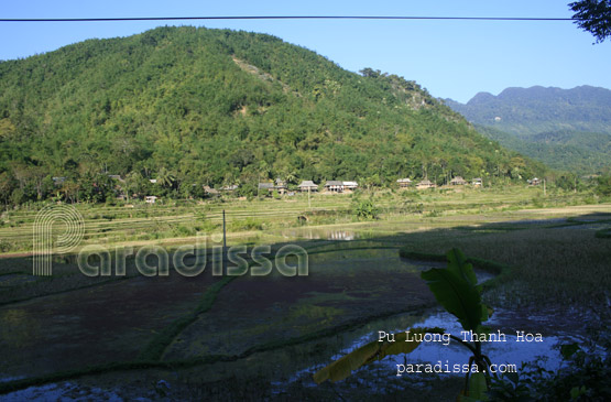 Pu Luong Nature Reserve