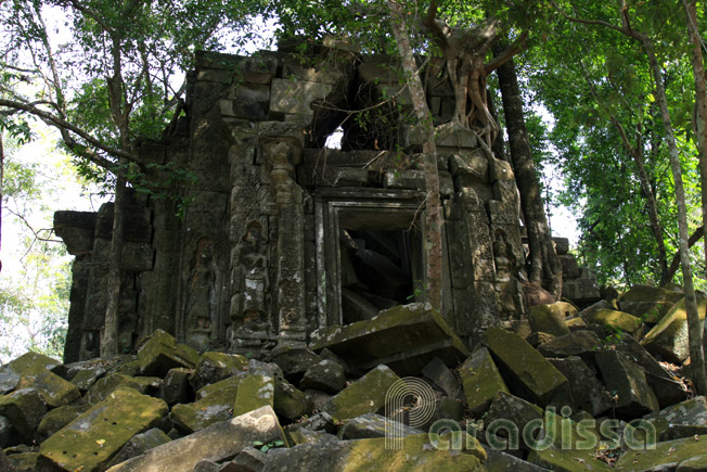 Beng Mealea Temple, Siem Reap, Cambodia