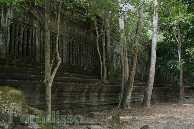 A cloister encroached by trees at Beng Mealea Temple, Cambodia
