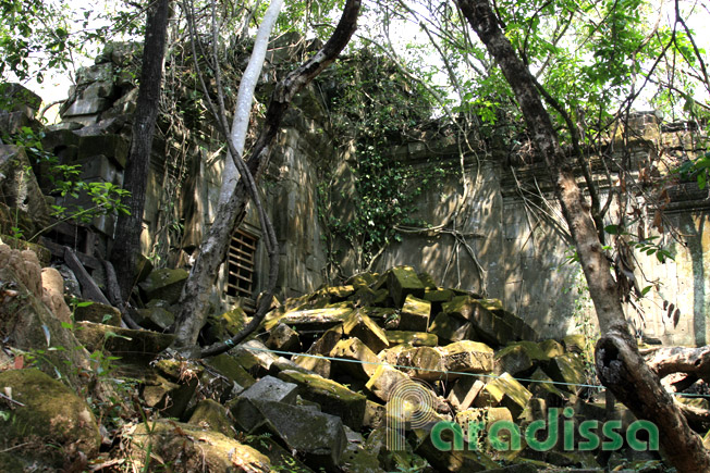 A corner of Beng Mealea Temple encroached by jungle