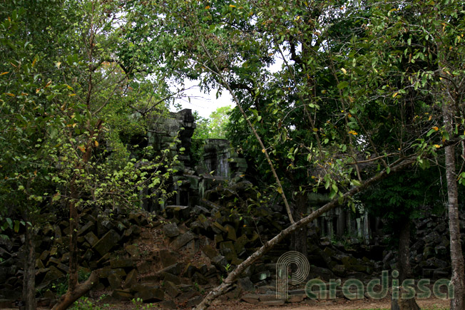 The ruins of Beng Mealea Temple, Cambodia