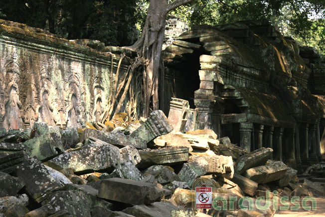 A cloister half ruined by jungles at Ta Prohm Temple, Siem Reap, Cambodia