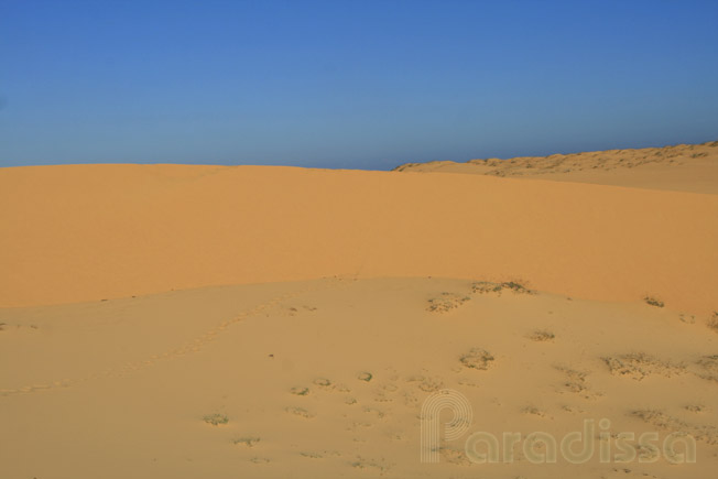 The White Sand Dune at Binh Thuan, Vietnam