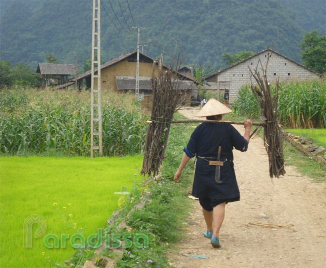 A Tay lady at Cao Bang, Vietnam