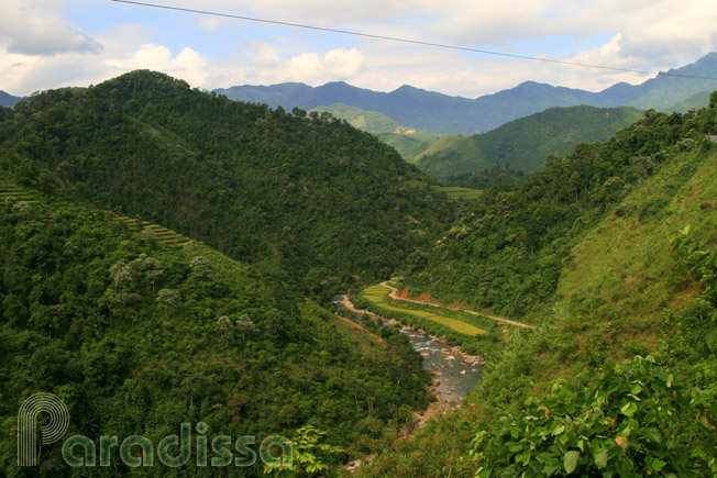 Fresh nature at Hoang Su Phi, Ha Giang