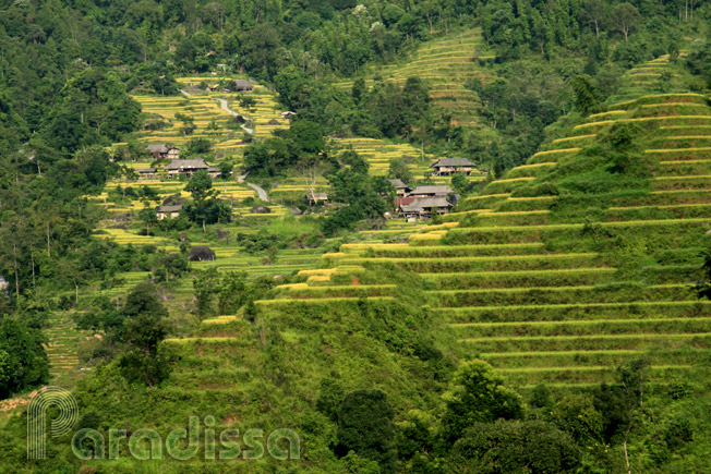 Stunning mountainside at Nam Ty, Hoang Su Phi, Ha Giang