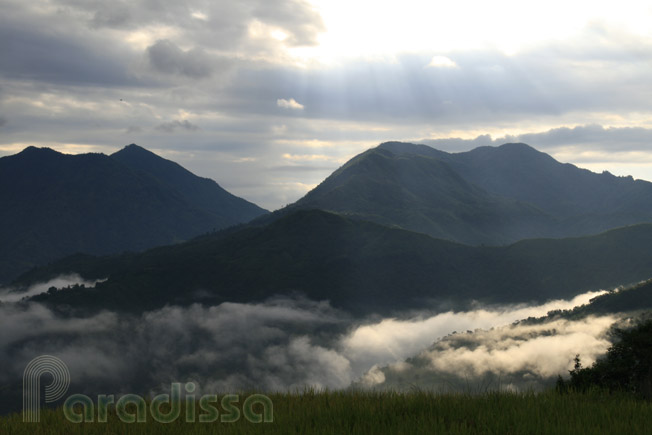 Ethereal landscape in front of a homestay at Thong Nguyen, Hoang Su Phi, Ha Giang