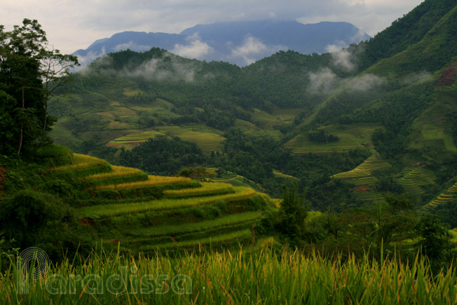 Adventure amid breathtaking beauty of Thong Nguyen