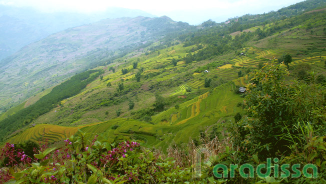 Mountains at Xin Man District of Ha Giang Province