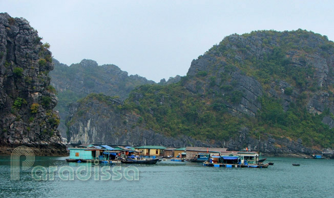 A floating village near Cat Ba Island, Hai Phong, Vietnam